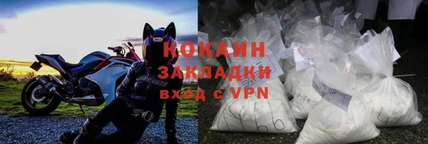 прущие грибы Дмитров