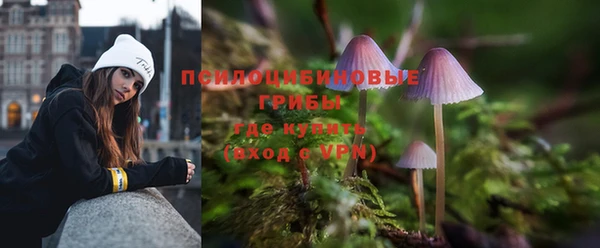хмурый Елизово