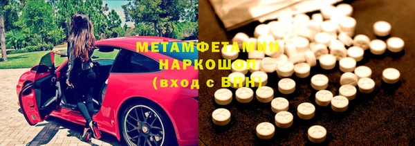 прущие грибы Дмитров
